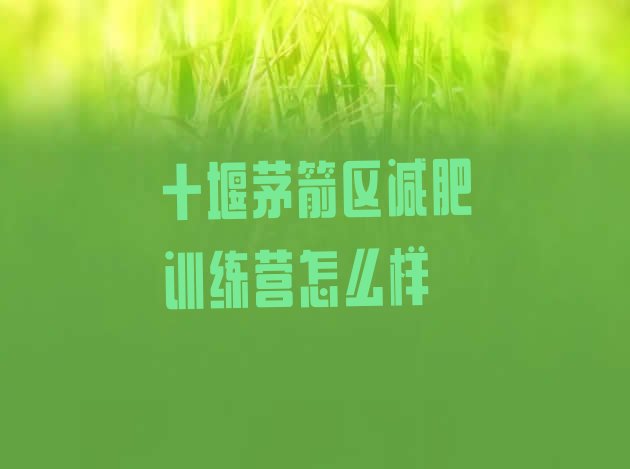 十堰茅箭区减肥训练营怎么样