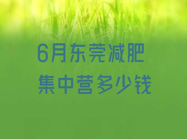 6月东莞减肥集中营多少钱