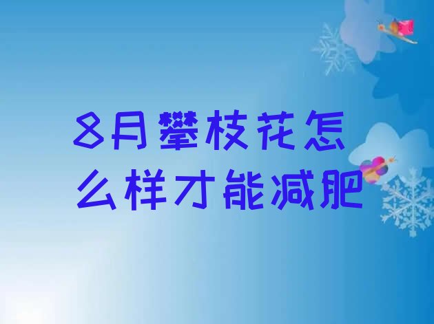 8月攀枝花怎么样才能减肥