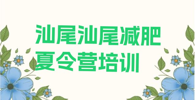 11月汕尾减肥达人训练营价格