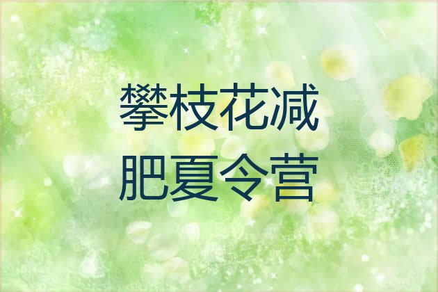 11月攀枝花减肥训练营有用吗十大排名