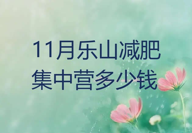 11月乐山减肥集中营多少钱