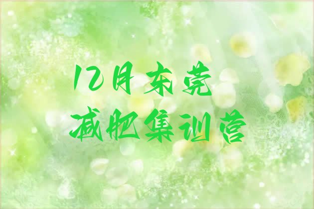 12月东莞减肥集训营