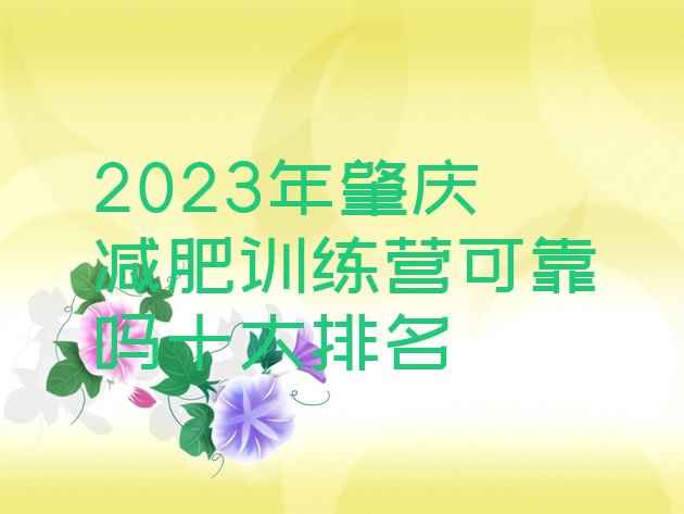 2023年肇庆减肥训练营可靠吗十大排名