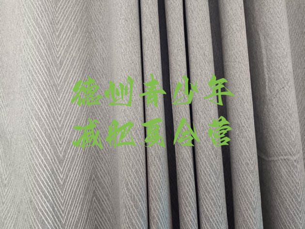 十大德州青少年减肥夏令营排行榜