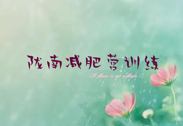十大陇南减肥营训练排行榜