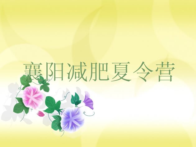 十大襄阳减肥训练营需要多少钱排行榜