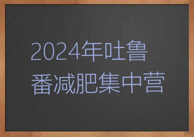 十大2024年吐鲁番减肥集中营排行榜