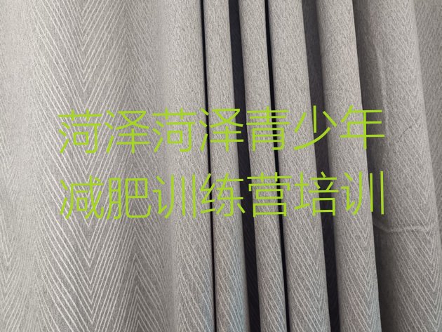 十大菏泽减肥训练班排名排行榜