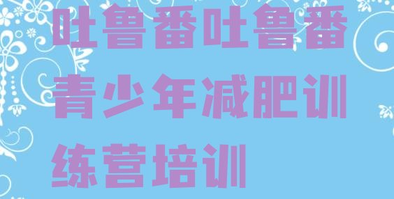 十大2024年吐鲁番高昌区减肥训练营的价格多少排名前五排行榜