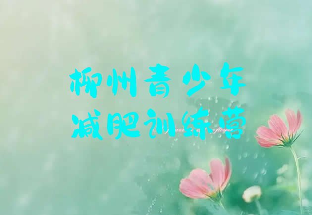 十大柳州减肥营价格排行榜