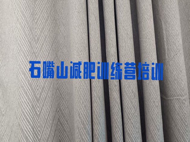 十大2024年石嘴山惠农区减肥达人训练营价格名单更新汇总排行榜
