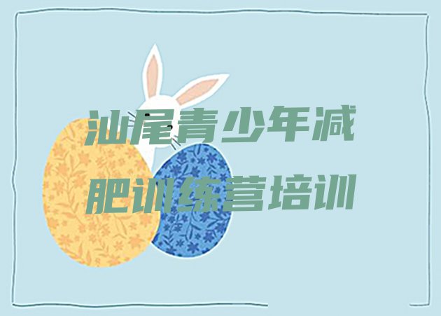 十大2024年汕尾城区参加减肥训练营排行榜