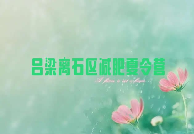 十大吕梁离石区训练营减肥多少钱排行榜