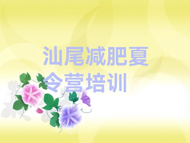 十大8月汕尾减肥达人训练营收费排行榜