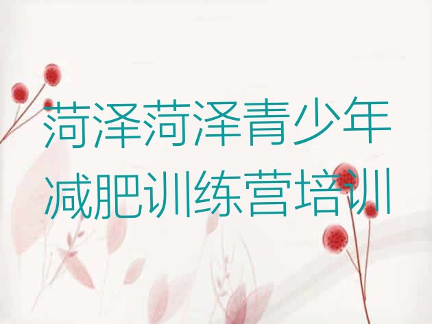 十大2024年菏泽训练营减肥排行榜