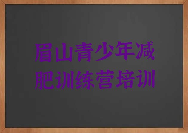 十大8月眉山东坡区减肥达人训练营价格排名前十排行榜