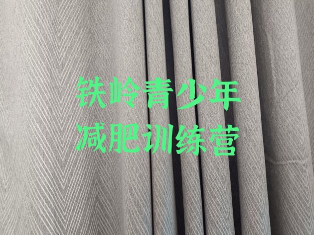 十大铁岭减肥营训练多少钱名单一览排行榜