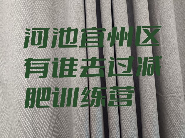十大河池宜州区有谁去过减肥训练营排行榜