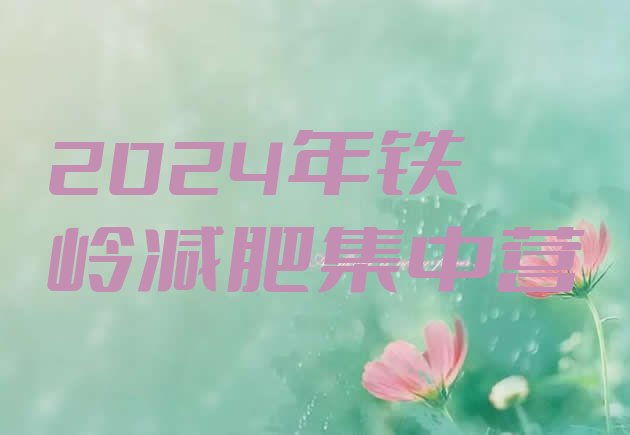 十大2024年铁岭减肥集中营排行榜