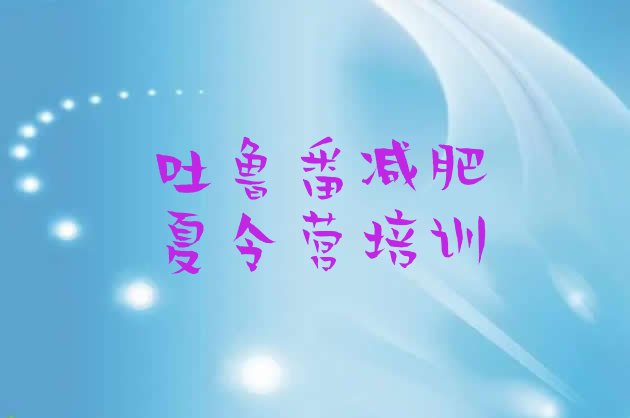 十大2024年吐鲁番高昌区全国哪的减肥训练营好名单更新汇总排行榜