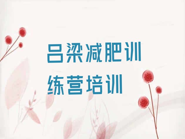 十大2024年吕梁减肥营费用排行榜