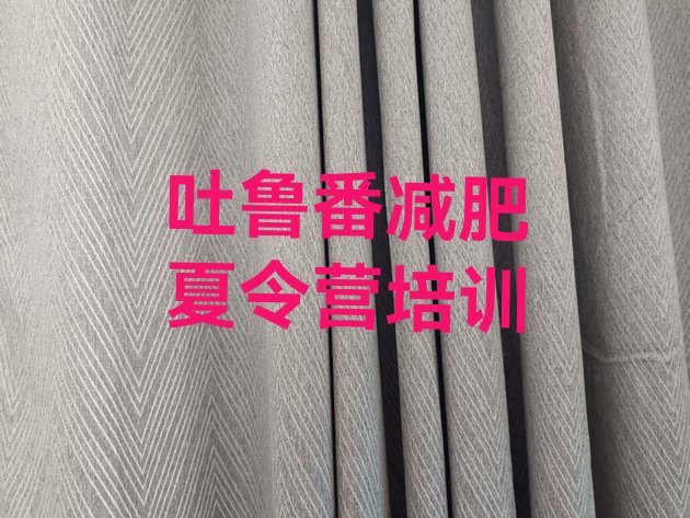 十大2024年吐鲁番一月减肥训练营排行榜