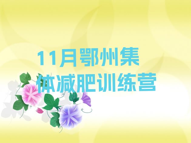 十大11月鄂州集体减肥训练营排行榜
