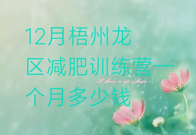 十大12月梧州龙圩区减肥训练营一个月多少钱排行榜