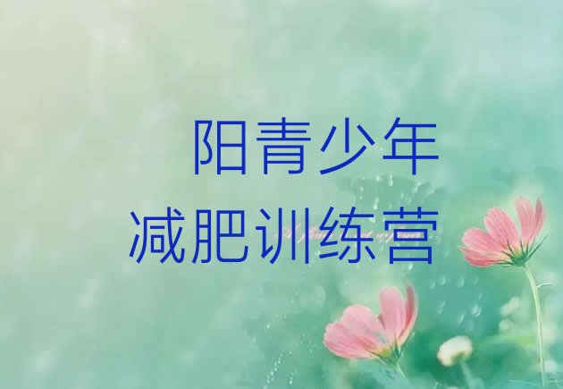 十大2024年濮阳全国哪的减肥训练营好排行榜
