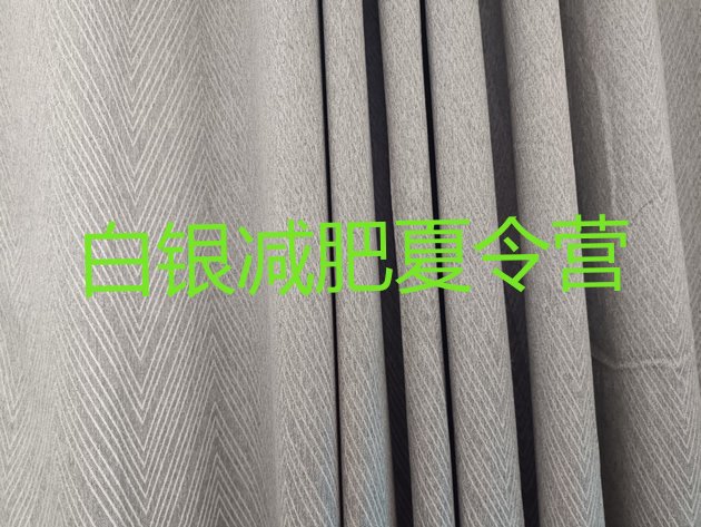十大2024年白银有谁去过减肥训练营排行榜