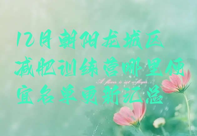十大12月朝阳龙城区减肥训练营哪里便宜名单更新汇总排行榜