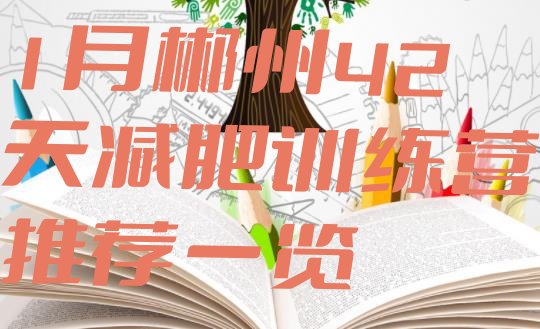 十大1月郴州42天减肥训练营推荐一览排行榜