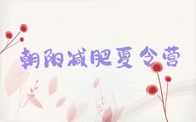 十大2025年朝阳哪里有减肥训练营排行榜