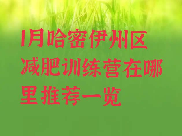 十大1月哈密伊州区减肥训练营在哪里推荐一览排行榜