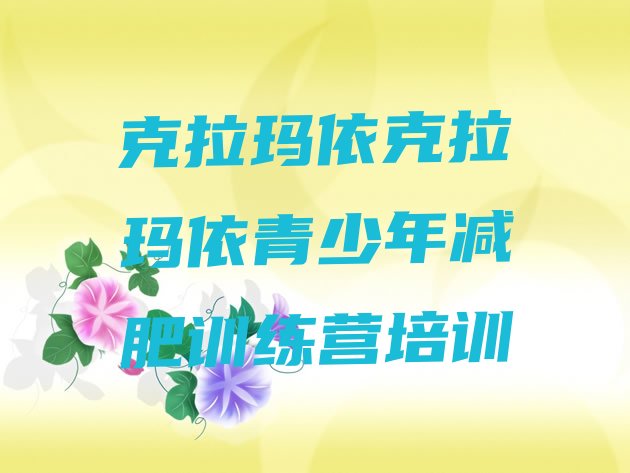 十大2025年克拉玛依减肥达人训练营实力排名名单排行榜