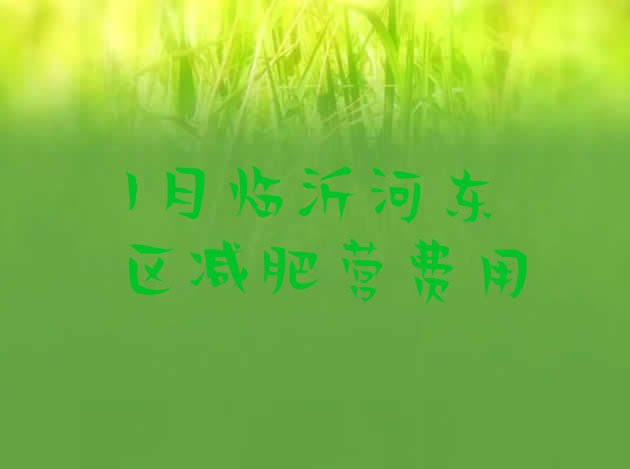 十大1月临沂河东区减肥营费用排行榜