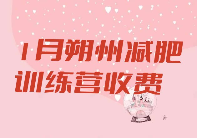 十大1月朔州减肥训练营收费排行榜
