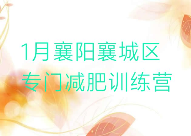 十大1月襄阳襄城区专门减肥训练营排行榜