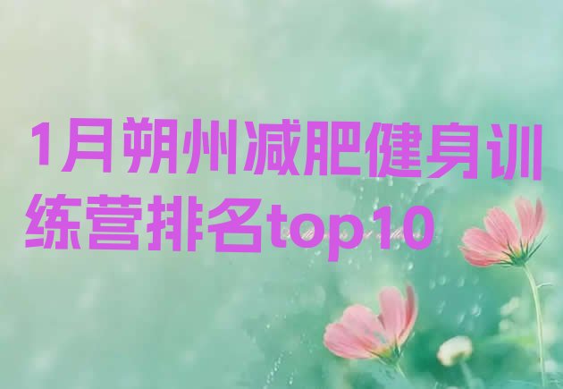 十大1月朔州减肥健身训练营排名top10排行榜