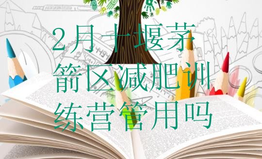 十大2月十堰茅箭区减肥训练营管用吗排行榜