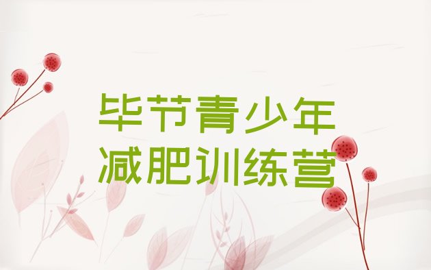 十大2月毕节减肥营价格排行榜