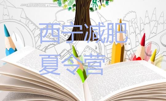 十大2月西宁封闭减肥训练营怎么样十大排名排行榜
