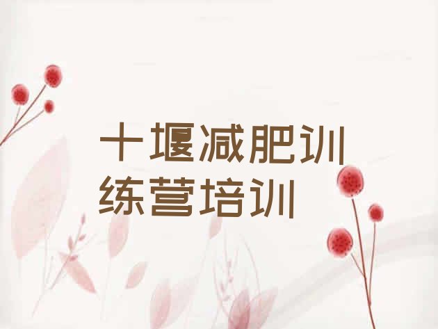 十大3月十堰达人减肥训练营排行榜