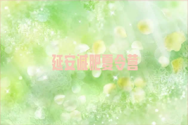 十大2025年延安便宜的减肥训练营排行榜