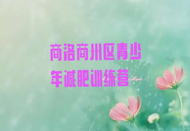 十大2025年商洛商州区减肥训练营哪里有排名前十排行榜