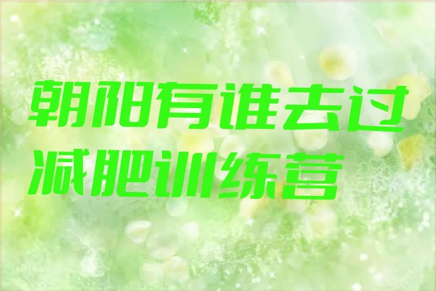 十大朝阳有谁去过减肥训练营排行榜