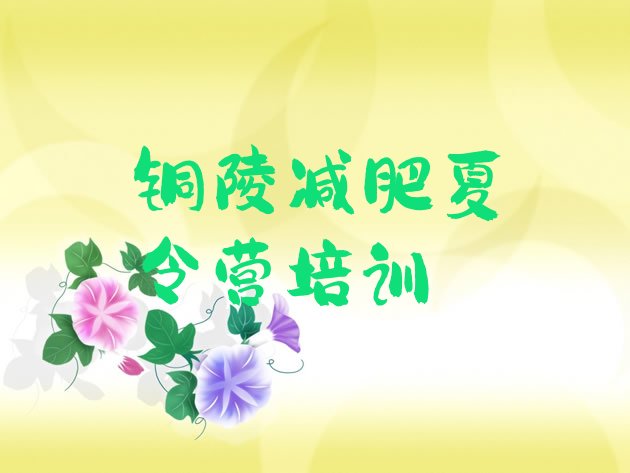 十大2025年铜陵封闭式减肥训练营哪里好排行榜
