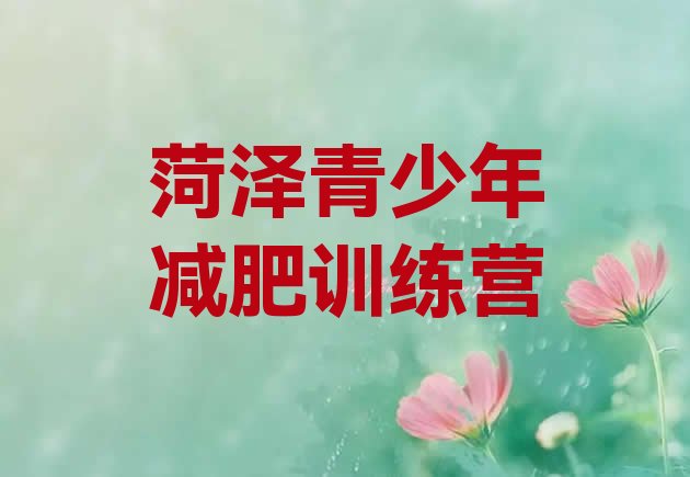 十大2025年菏泽减肥集中营多少钱排名top10排行榜
