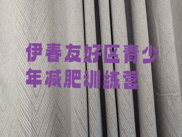 十大2025年伊春友好区学生减肥训练营排行榜
